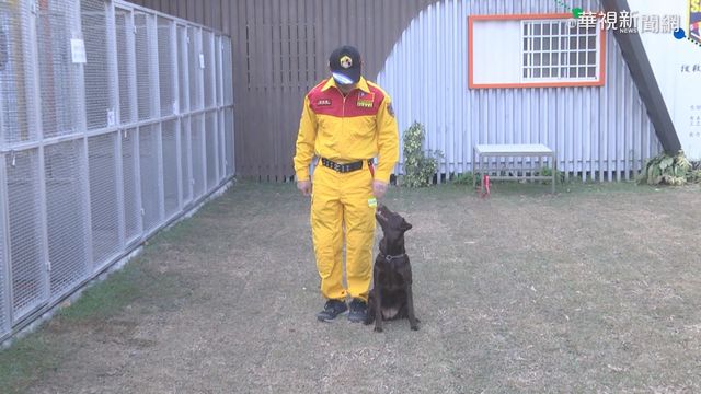 ｢搜救毛小孩の部屋｣啟用 各式設備齊全