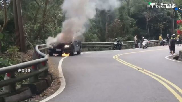 霧台「櫻花王」盛開 管制人車防亂象