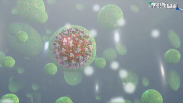 英再發現變種病毒「B.1.525」 專家憂影響疫苗效力