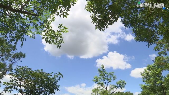 回溫了！高溫上看24度 好天氣持續到下週