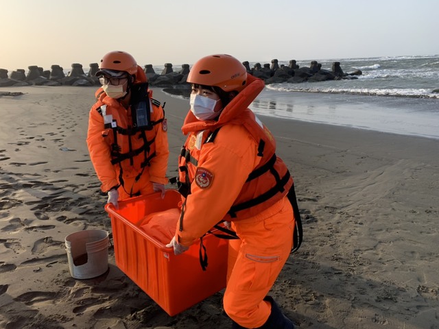 (第11岸巡隊提供)