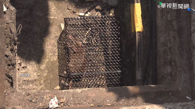 國內新增1例漢他病毒個案！ 疾管署：留意防鼠