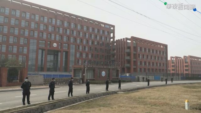 世衛追查病源 疑鼬獾.兔子將病毒傳人