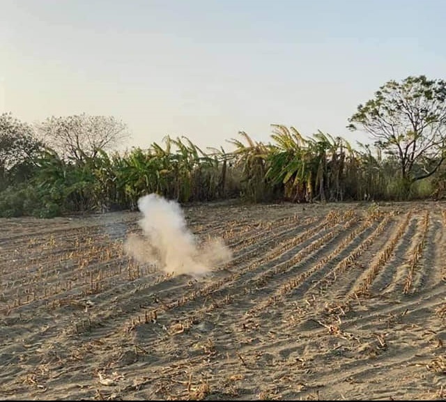 綠鬣蜥被放到農地上引爆。(翻攝臉書社團「爆怨公社」)