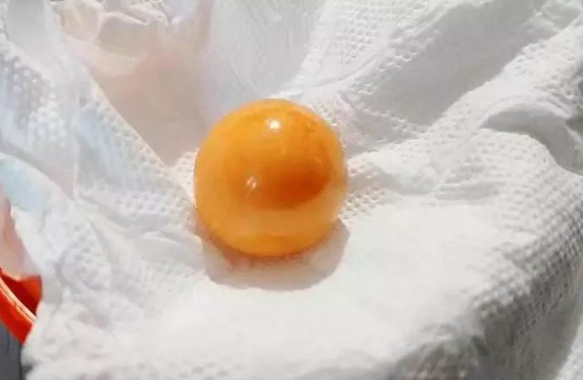 泰幸運！泰男買海貝下鍋煮 意外撈出700萬珍珠