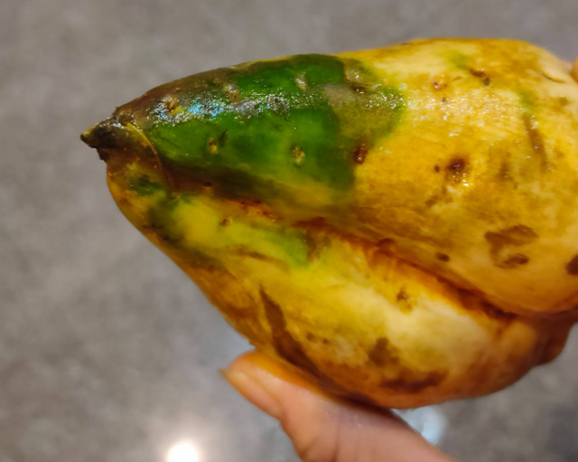 她買地瓜洗完一塊綠色 專業解答：可吃且是精華