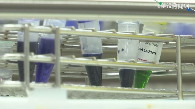 陽交大找到新解藥 能抑制新冠病毒