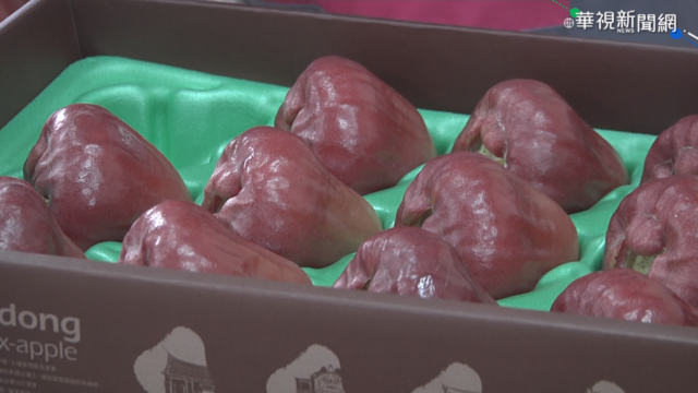 鳳梨遭封殺! 果農憂其他水果也遭禁