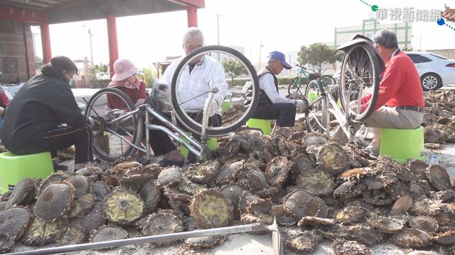 單車妙用多! 輕鬆取葵花子.編襪子