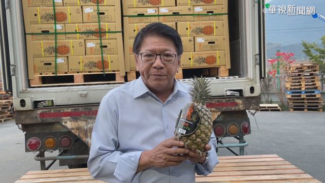 屏東金鑽鳳梨封櫃銷日 銷量可望翻倍