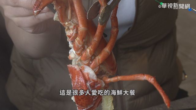 微塑膠全面入侵人體 減塑刻不容緩