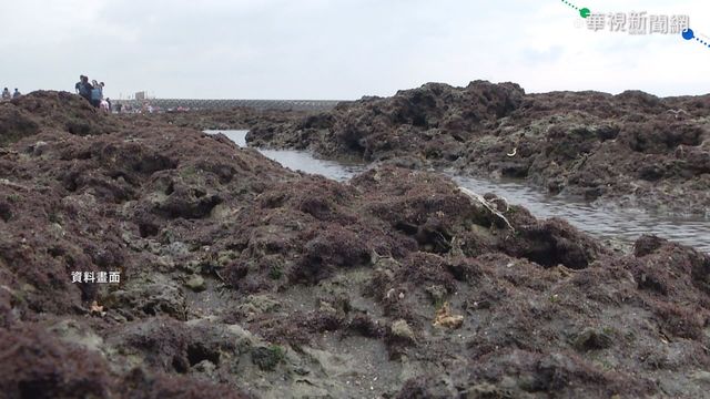 門檻達標!藻礁公投再拚至45萬份連署