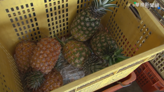 鳳梨被中國禁後 謝金河：台灣宜重建食品加工產業鏈