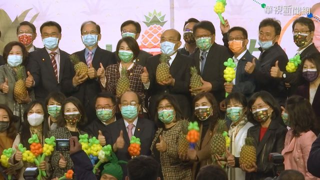 潘孟安立院促銷鳳梨 蘇揆備詢中相挺