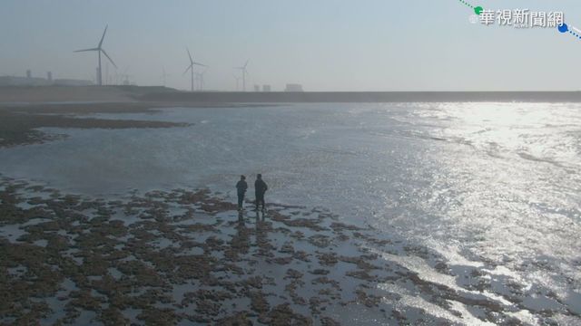 三接恐影響藻礁 開發.生態怎平衡?