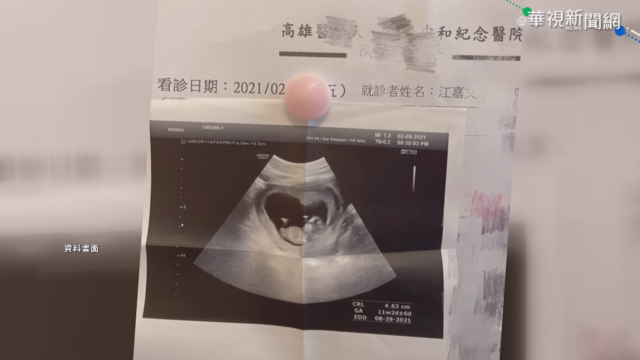 罔腰貼懷孕照涉造假 高市社維法送辦
