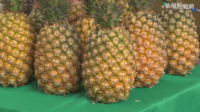 僑胞響應挺家鄉鳳梨 無奈進不了美國