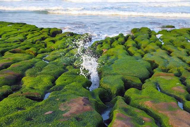 老梅綠石槽網美愛去！ 踩踏勸不聽最高罰10萬