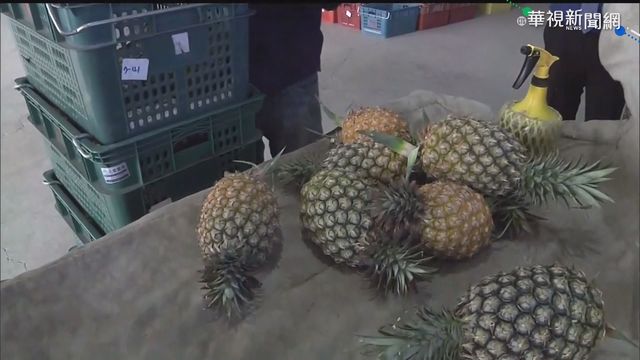 不懼中打壓! 30噸屏東鳳梨封櫃銷香港