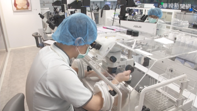 女性｢少卵化｣危機 凍卵迷思大釐清