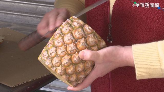 平均每顆鳳梨貴10到15元？ 農委會證實：外銷數量增