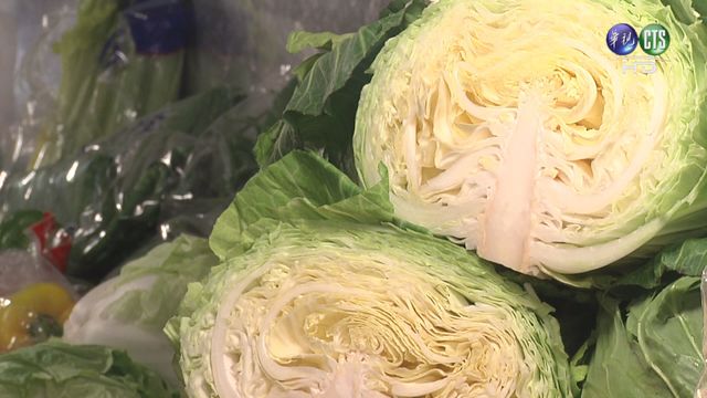 台高麗菜外銷中東！ 首航杜拜之旅推國際市場