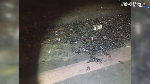 屏東貨車金屬彈簧散落 多車輪胎遭殃