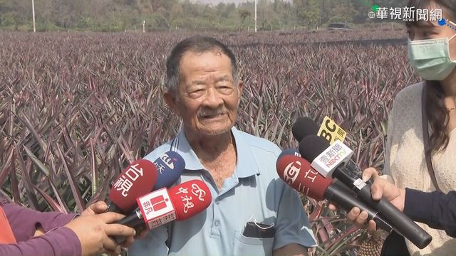 假冒總統府訂180箱鳳梨 果農遭惡整