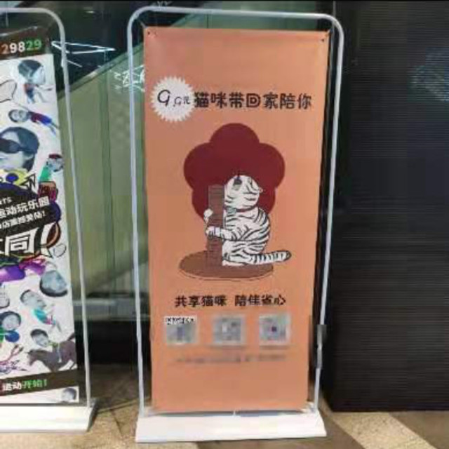 (翻攝紅星新聞)