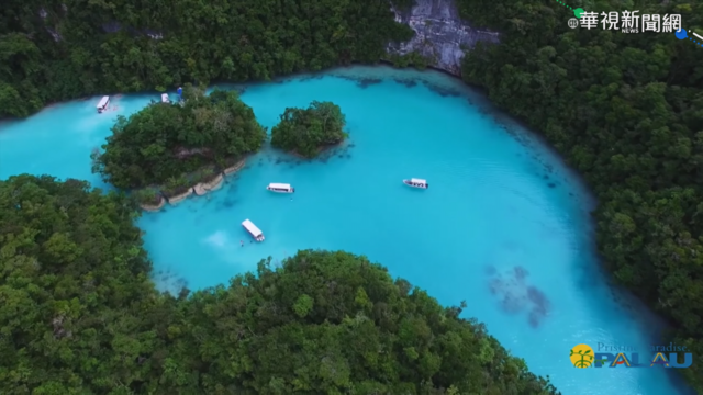台帛旅遊泡泡 陳時中:朝｢不檢疫｣規劃