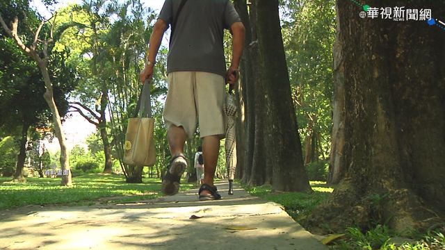 一日孫子服務! 伴爺爺奶奶健走養身