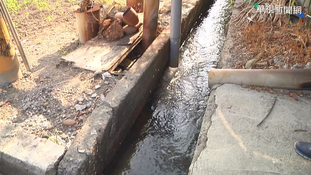 台缺水問題怎解? 專家:開源不如節流