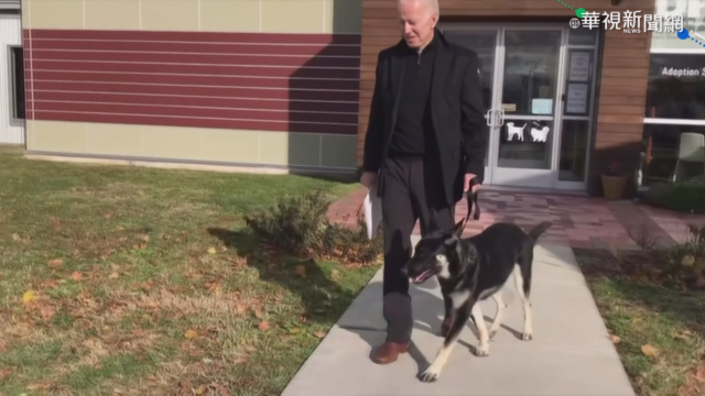 拜登｢少校｣咬傷保安 2愛犬暫送返老家