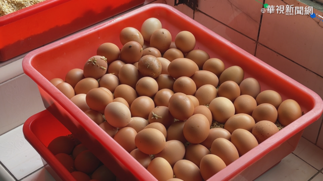 劉一峰神父2500顆蛋遭棄單 民眾買光