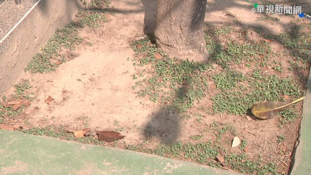 久旱未雨! 潭子水井乾涸.神岡溝圳沒水