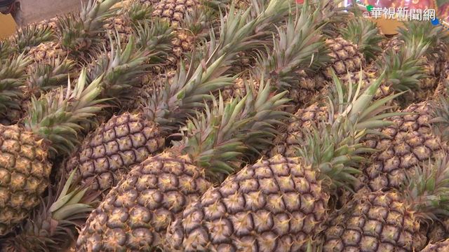 防鳳梨外銷削價競爭 農委會曝「補助條件」