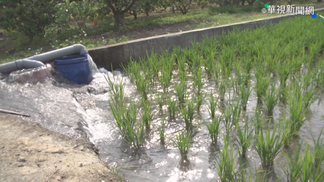 農民缺水鑿井 彰縣府:私自開挖將開罰