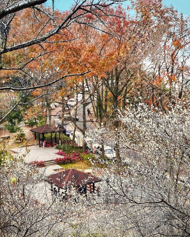 桃園自由行最高2千補助 2萬間房限時開搶