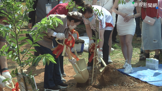 推動都市綠化!台積電聯手4市長植樹