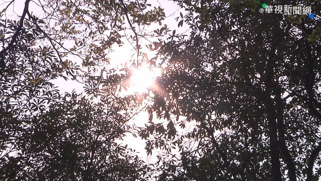 全台連5天好天氣！ 北部上看30度、中南部將達32度