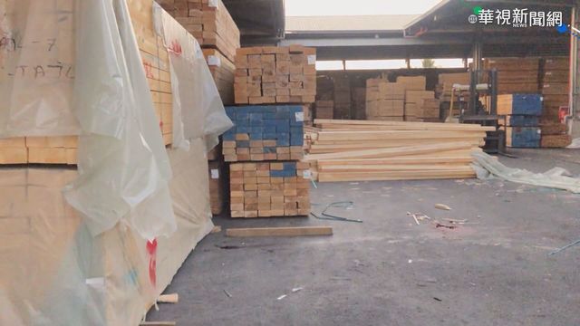 中國木材恐寄生「光肩星天牛幼蟲」攜入境恐遭罰15萬