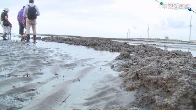 藻礁公投近70萬連署 500箱送台北暫存