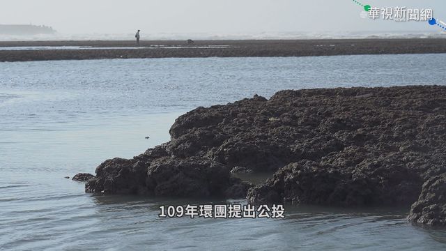 藻礁公投連署迅速達標 政治因素操作?