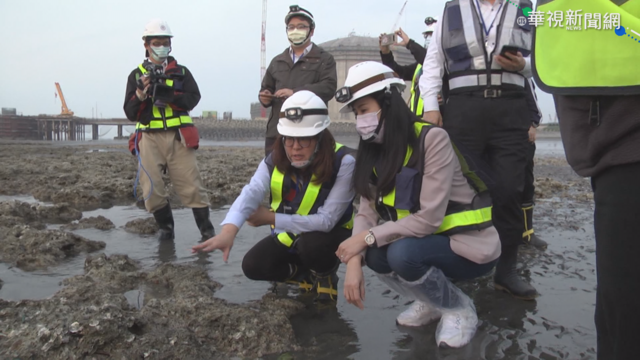 立委考察大潭藻礁 潘忠政:盼開聽證會