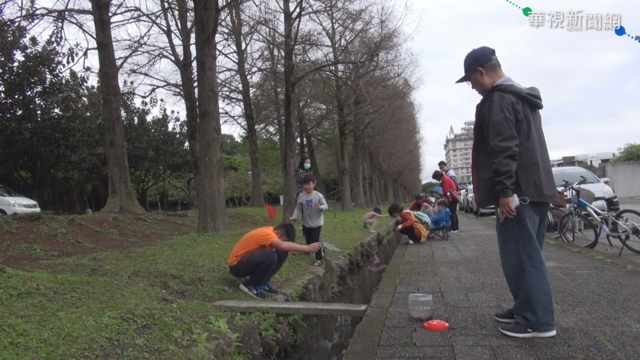 羅東水溝滿滿小龍蝦 民眾享受釣蝦樂