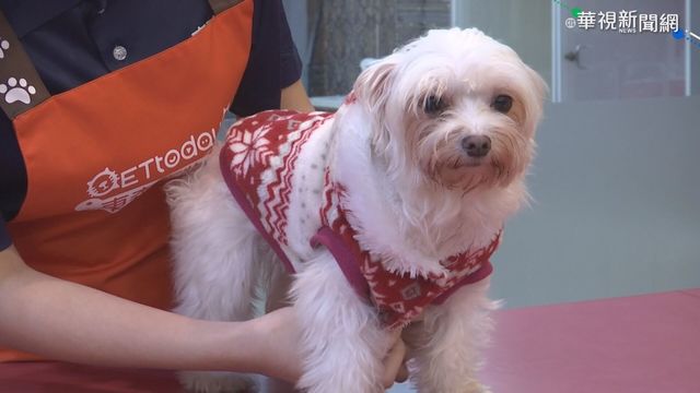 毛小孩來頒獎! 民團推｢動保入憲｣