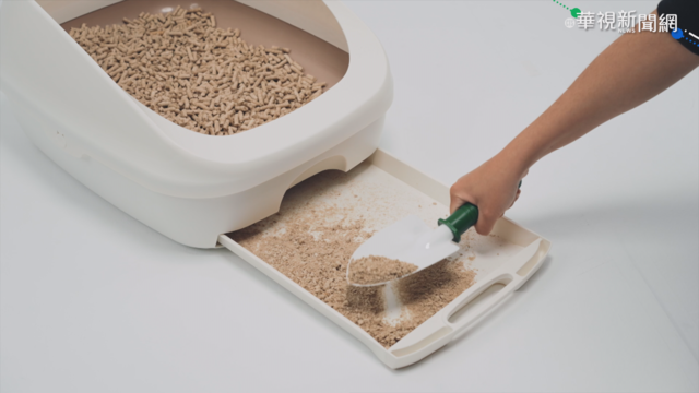 養菇每年10噸廢棄基質 回收再製貓砂