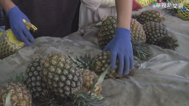 中對台｢農林22條｣ 陳明通諷:滿天全金條