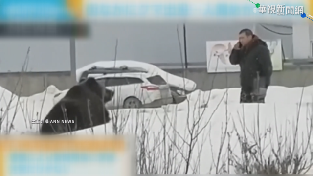 ｢戰鬥民族｣寵物不一般! 帶熊散步嚇壞人