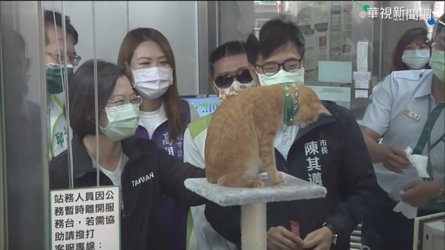 貓站長｢蜜柑｣寄信邀約 蔡英文南下探班